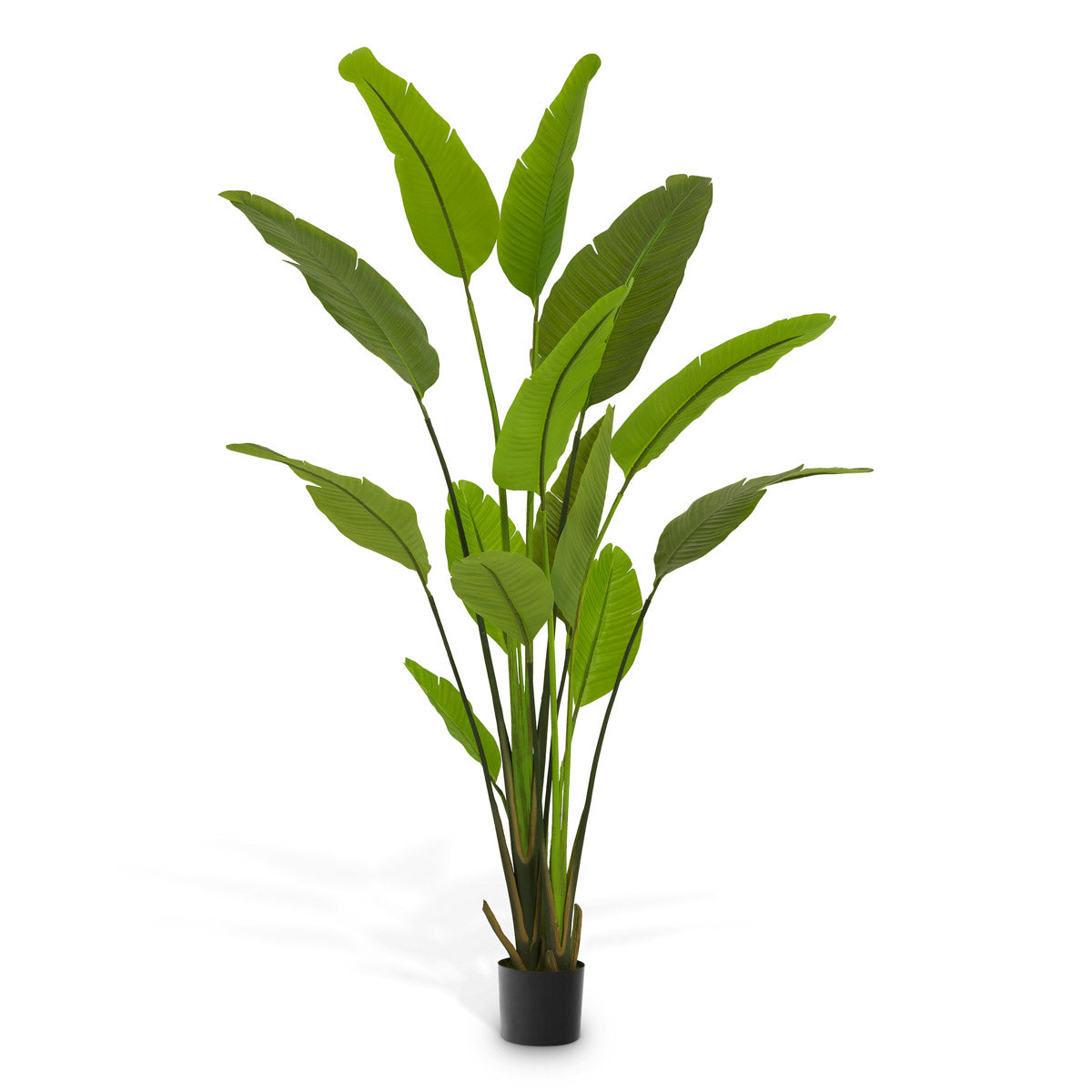 Eichholtz Artificial Plant Strelitzia M — Green Tones hero image (Image 1)