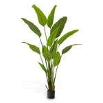 Eichholtz Artificial Plant Strelitzia M — Green Tones hero image (Image 1)
