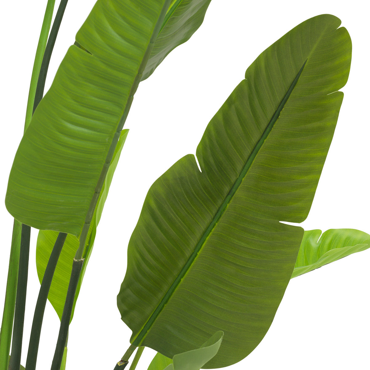 Artificial Plant Strelitzia M by Eichholtz in a styled setting — Green Tones (Image 4)