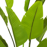 Angled view of Artificial Plant Strelitzia L showing proportions and detailing (Image 3)