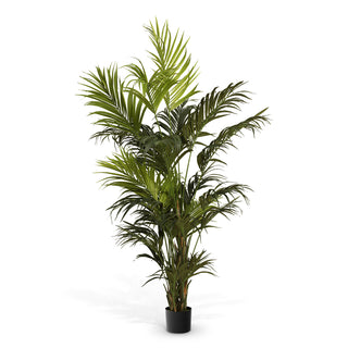 Artificial Plant Kentia Palm