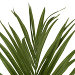 Close-up of Artificial Plant Kentia Palm highlighting premium materials and Green Tones (Image 2)