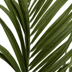 Angled view of Artificial Plant Kentia Palm showing proportions and detailing (Image 3)
