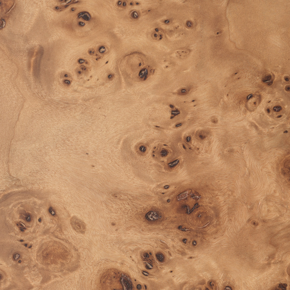 Close-up of Trolley Mayfair highlighting premium materials and Light Brown Mappa Burl Veneer (Image 2)