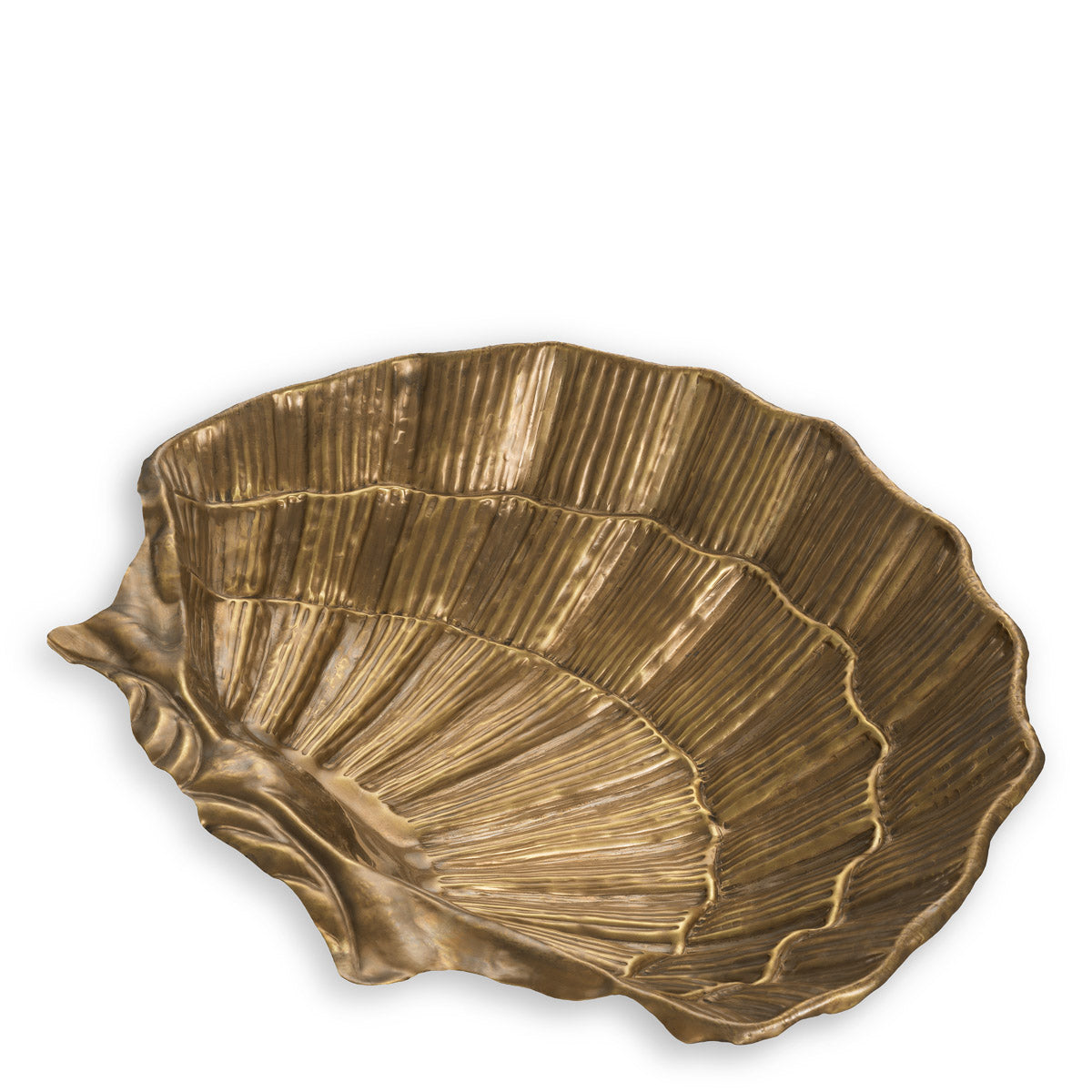 Angled view of Bowl Seashell showing proportions and detailing (Image 3)