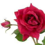 Eichholtz Bouquet of Roses real touch 72 pcs/3 varieties With Eichholtz, you bring home a floral masterpiece that elevates your home with...