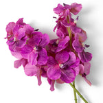 Eichholtz Bouquet of Vanda Orchids real touch 24 pcs space. The deep, rich fuchsia tones capture the natural beauty of orchids, adding an...