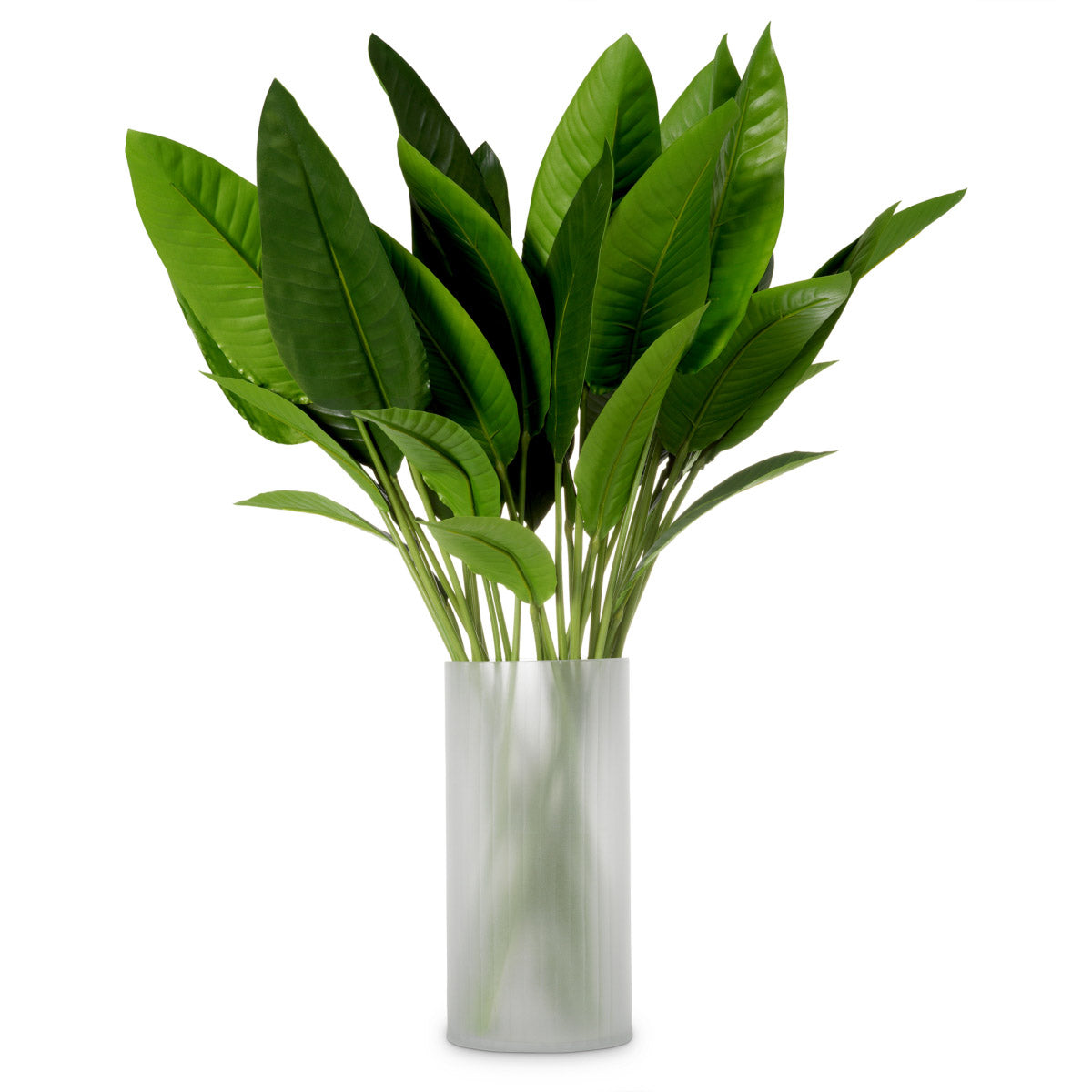 Eichholtz Bundle of Strelitzia leaves 36 pcs Elevate your space with the striking elegance of this Bundle of Strelitzia Leaves. Comprisin...