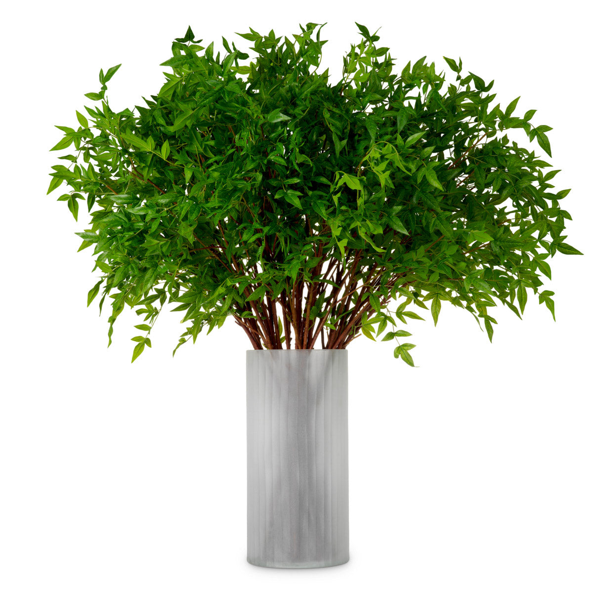 Eichholtz Bundle of Tender leaves 36 pcs Enhance your space with the understated beauty of this Bundle of Tender Leaves. Featuring 36