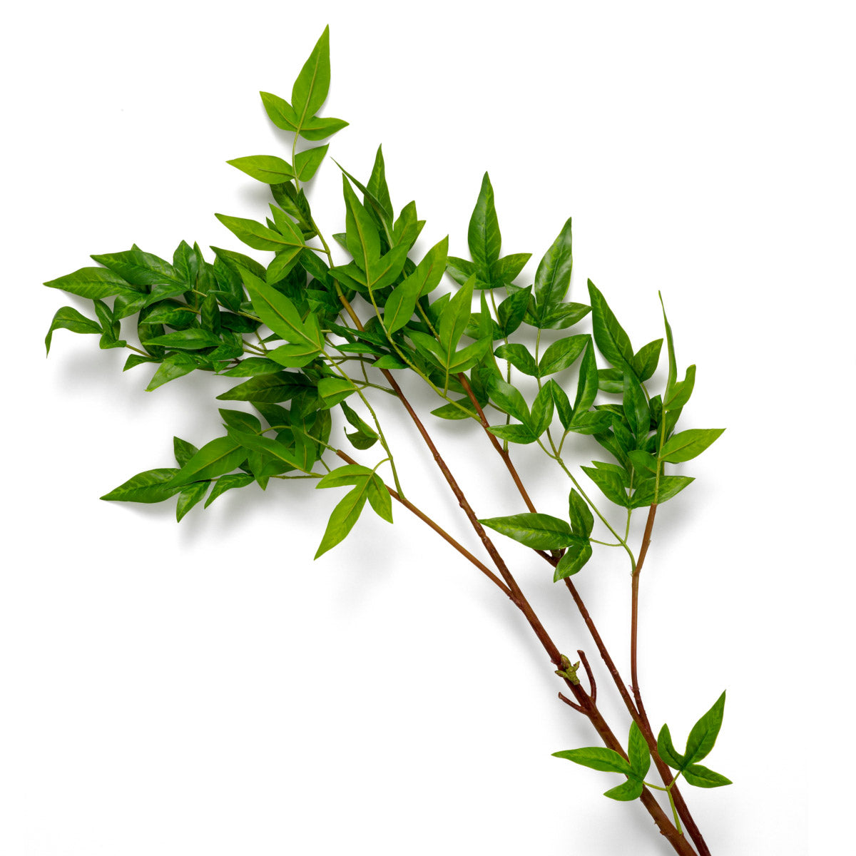 Eichholtz Bundle of Tender leaves 36 pcs foliage, adding a subtle, organic touch to any interior. Perfect for creating a serene, natural