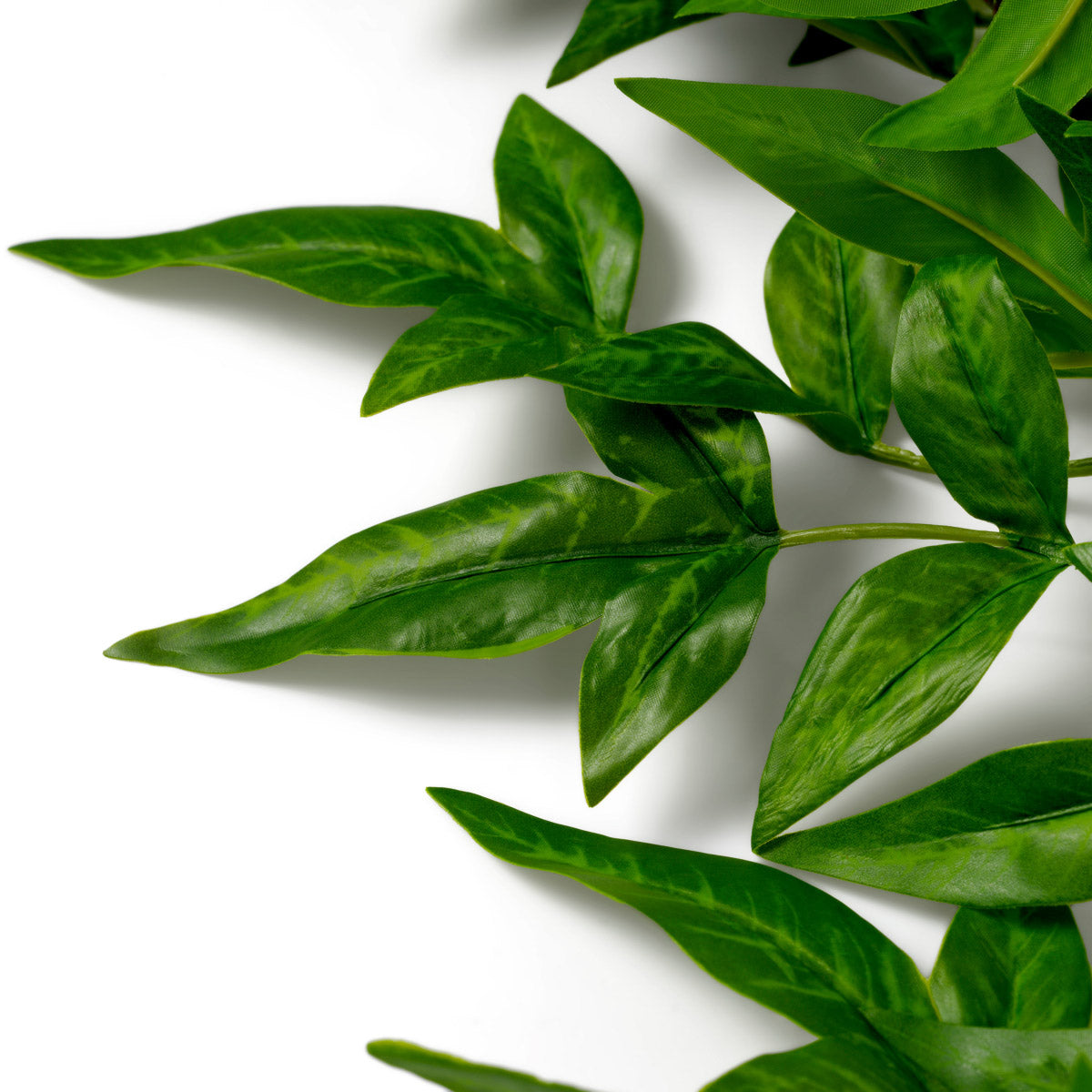 Eichholtz Bundle of Tender leaves 36 pcs atmosphere, this bundle requires no maintenance while offering lasting elegance. Eichholtz bring...