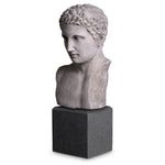 Eichholtz Bust Roman Imperial The "Bust Roman Imperial" pays homage to the classical beauty of ancient Greece. Handcrafted from