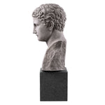 Eichholtz Bust Roman Imperial a triumphant athlete. Romans often transformed these classical masterpieces into decorative sculptures, lea...