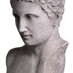 Eichholtz Bust Roman Imperial 2nd-cenThe Bust Roman Imperial is influenced by a 1st- or 2nd-century Roman copy of a