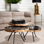 Eichholtz Coffee Table De Soto set of 3 of 3 with petrified wood table tops. Characterised by natural black, brown, grey and white