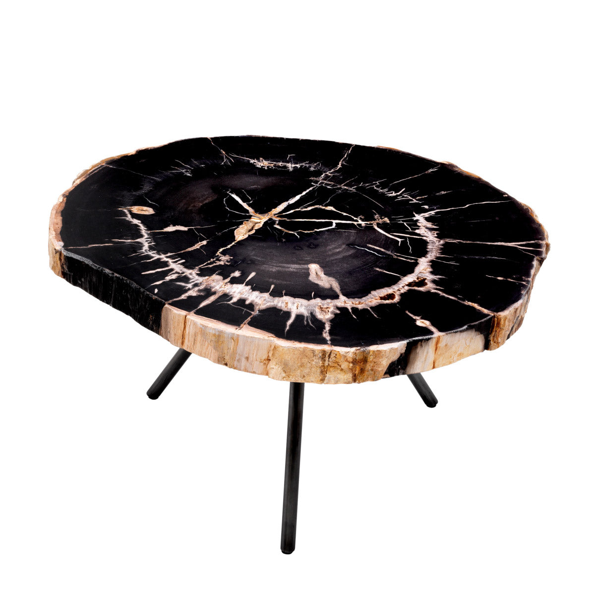 Eichholtz Coffee Table De Soto set of 3 transform into stone. While retaining the original structure of the stem tissue, all the organic