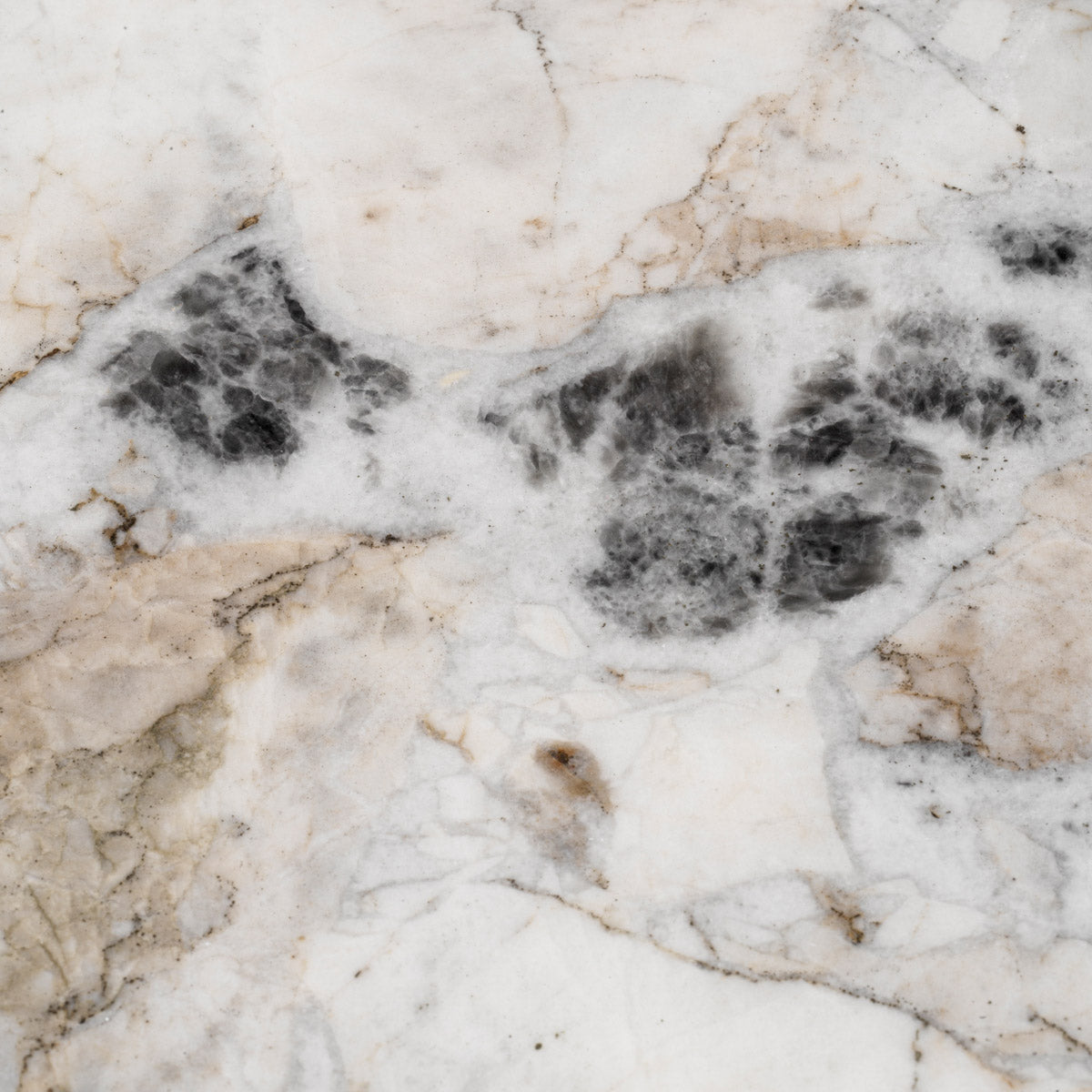 Eichholtz Coffee Table Fabio room, adding a touch of refined taste and lavishness to your decor with its captivating