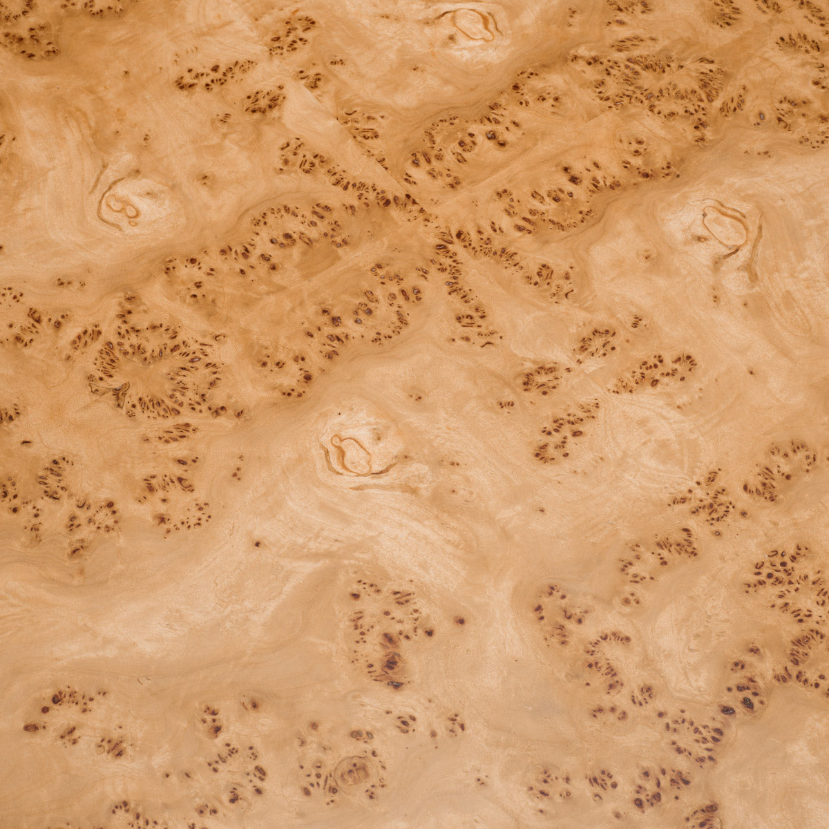Eichholtz Coffee Table Quinton set of 3 brown mappa burl veneer, its sleek design is enhanced by the luxurious antique brass finish.