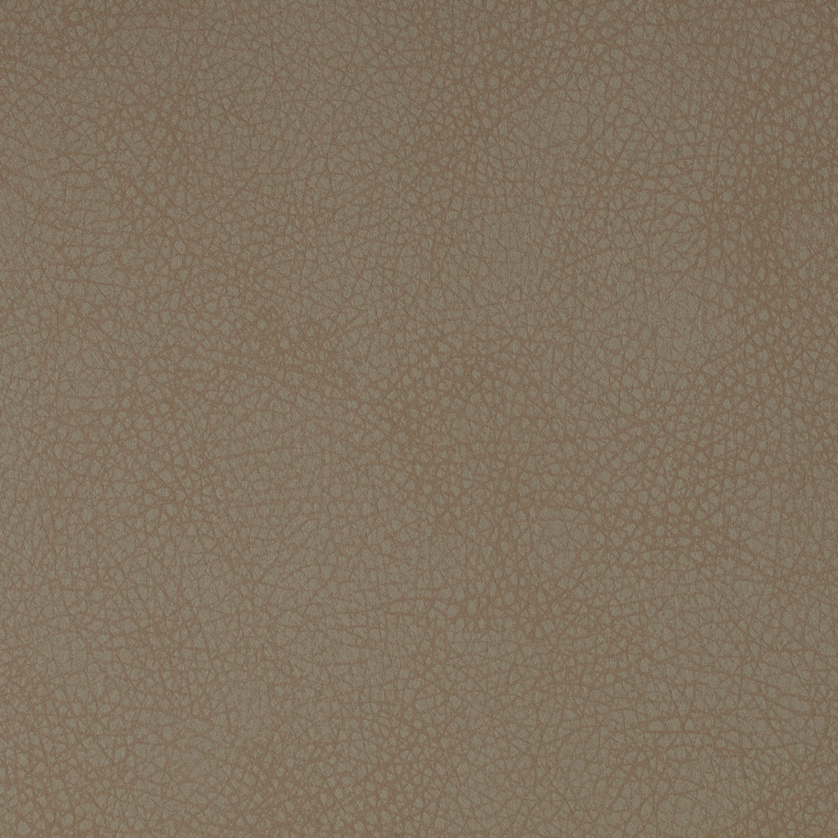 Eichholtz Dining Chair Cooper set of 2 of 2 Cooper Dining Chairs. Each chair is characterised by a seating and backrest in