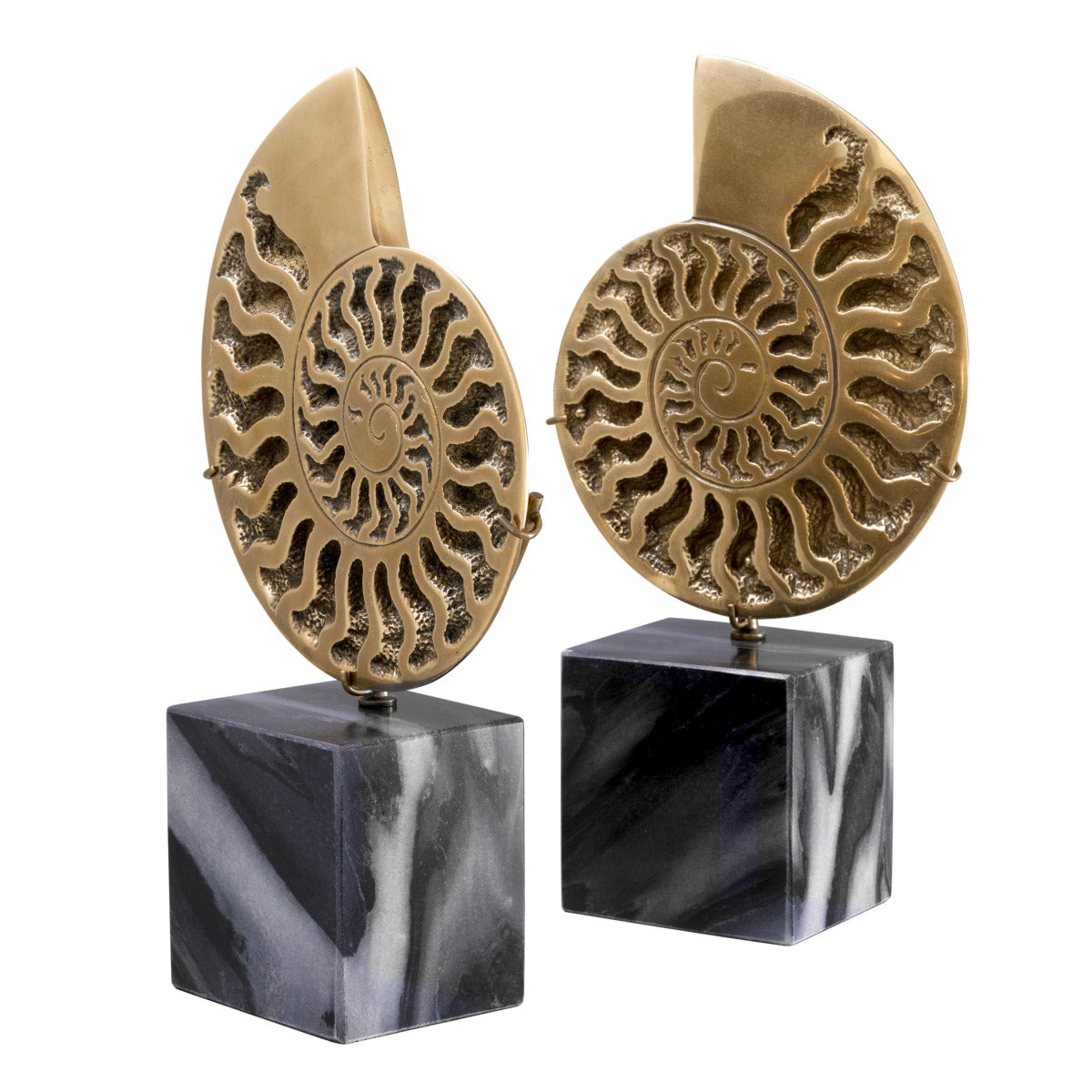 Eichholtz Object Ammonite set of 2 of the Cretaceous period, about 66 million years ago, at roughly the same time as