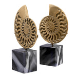 Eichholtz Object Ammonite set of 2 of the Cretaceous period, about 66 million years ago, at roughly the same time as
