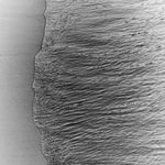 Eichholtz Print Philippe Vogelenzang - Cala vincente bold, expressive artistry encased in a sleek white wooden frame with clear glass. Ha...