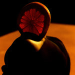 Eichholtz Print Philippe Vogelenzang - Vitamin oral print, set in a sleek white wooden frame with pristine clear glass, offers a bold