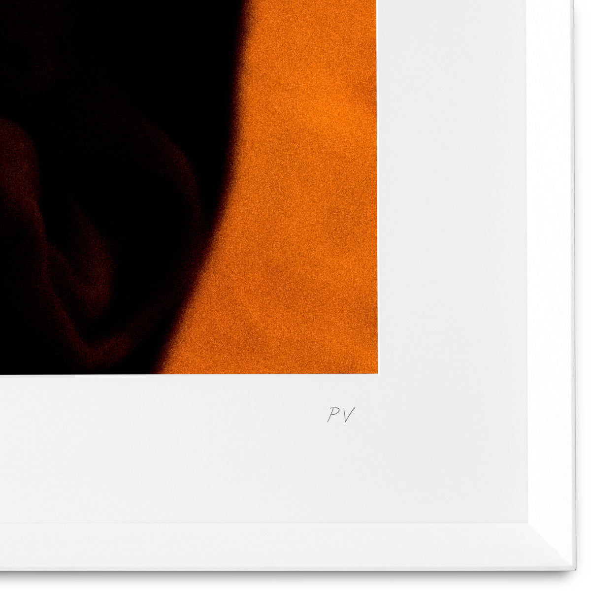 Eichholtz Print Philippe Vogelenzang - Vitamin oral visual allure. Hand-engraved with the artist's signature, it captures modern sophisti...