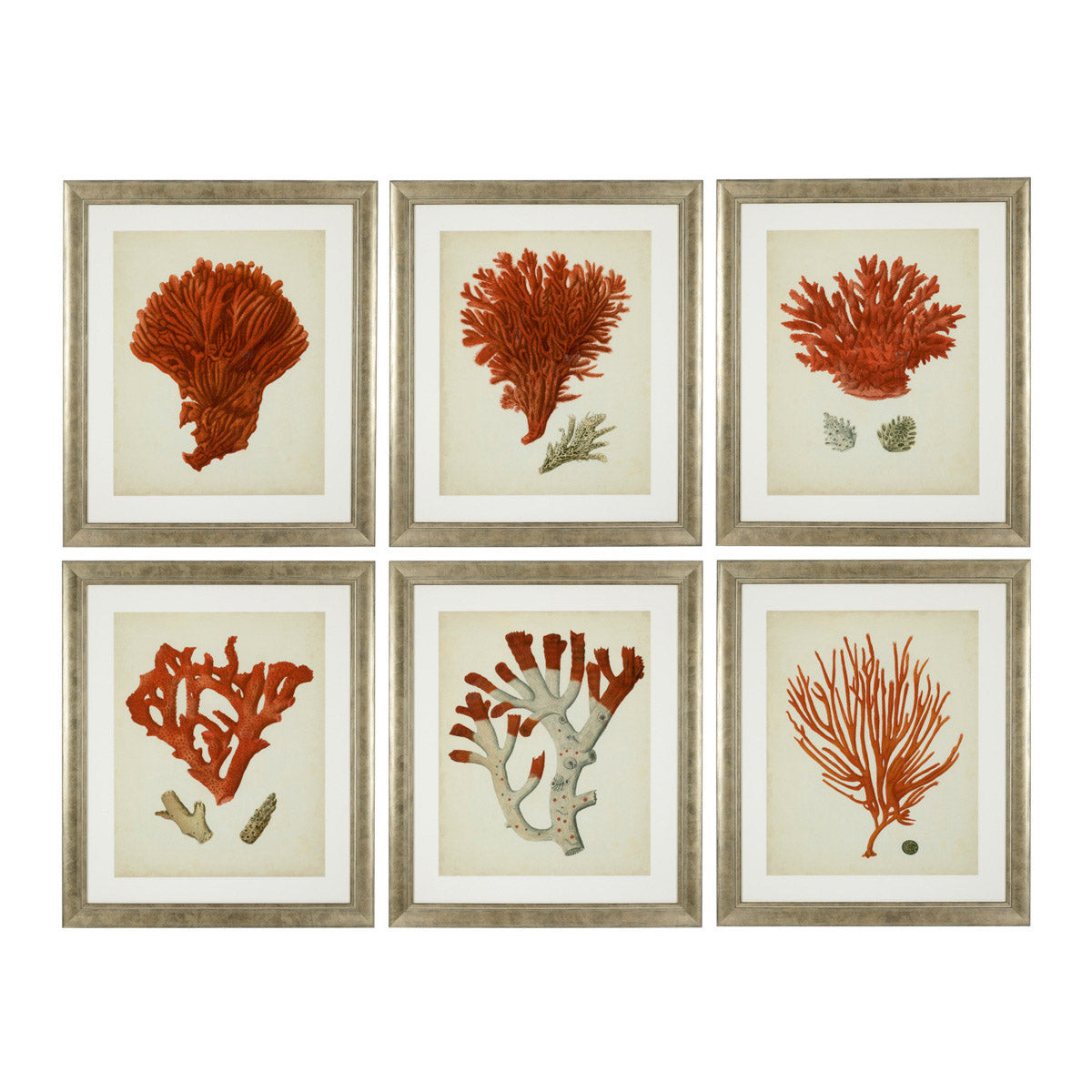 Eichholtz Prints Antique red corals set of 6 Adorn your home with this stunning set of 6 Antique Red Coral prints. Clockwise: Antique