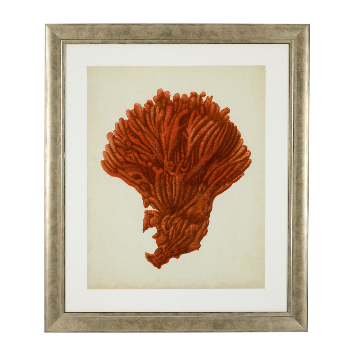 Eichholtz Prints Antique red corals set of 6 Red Coral I, Antique Red Coral V, Antique Red Coral III, Antique Red Coral IV,