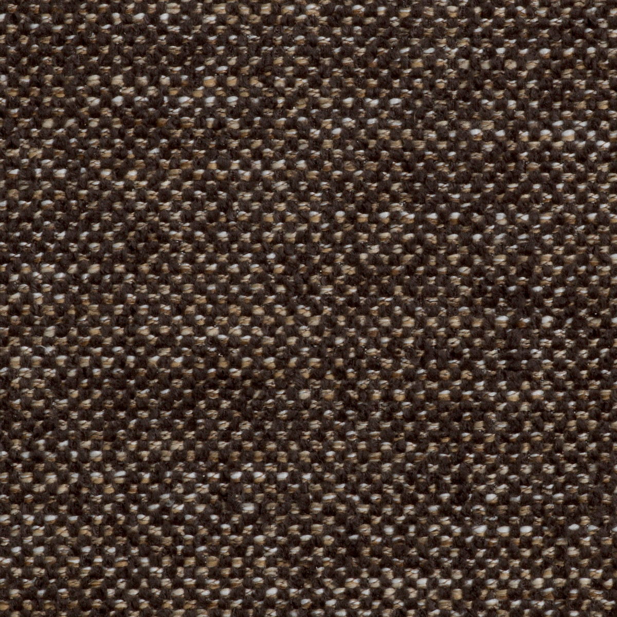 Chair Galiano
