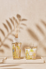Gift Box My First Baobab Miami