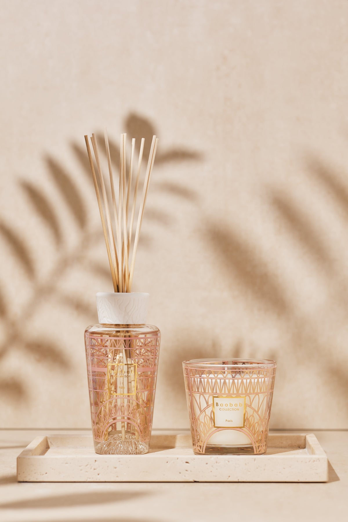 Gift Box My First Baobab Paris