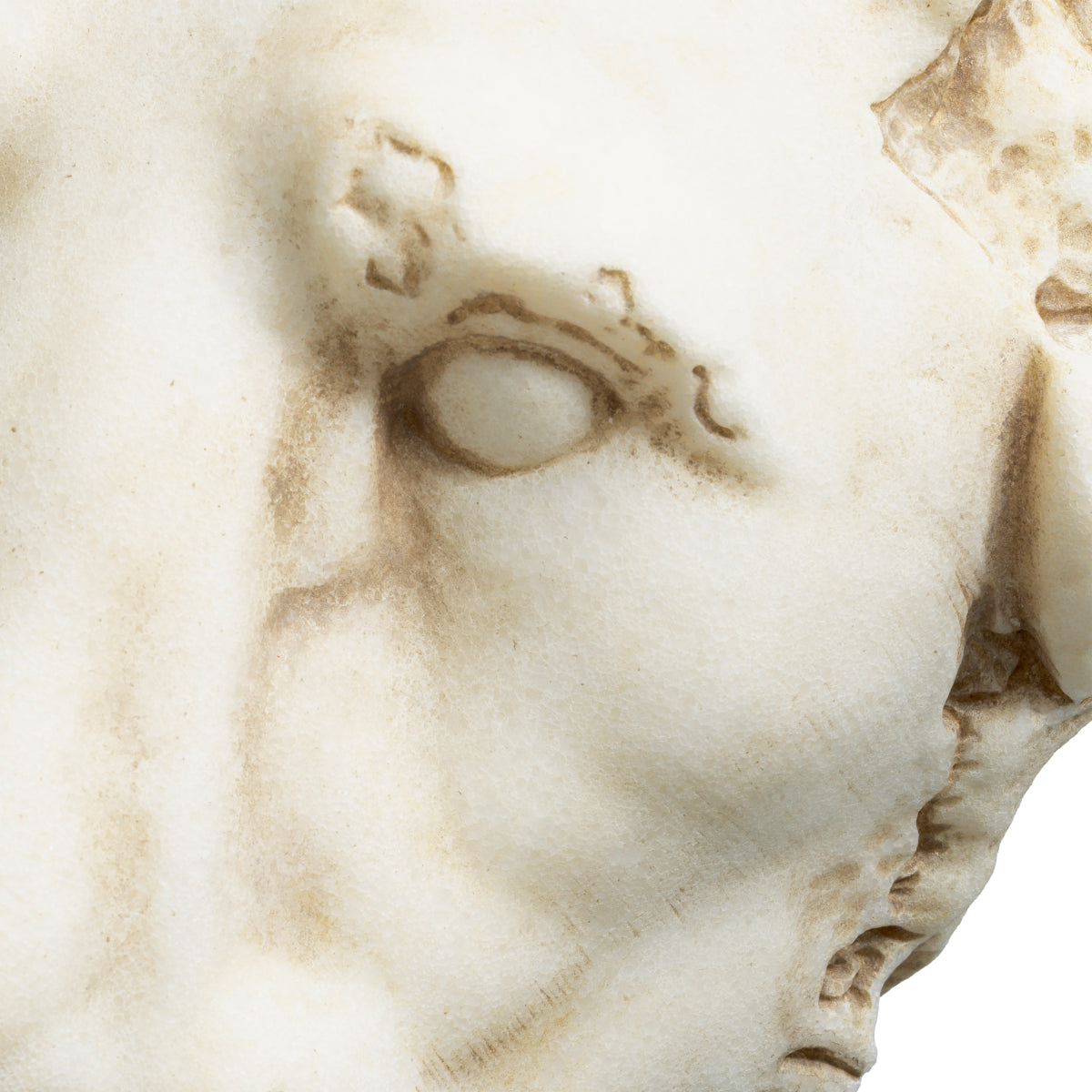 Object Lion