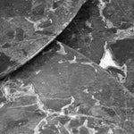 Coffee Table Regioni set of 3 by Eichholtz in a styled setting — Brushed Brass, Grey Marble (Image 4)