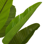 Close-up of Artificial Plant Strelitzia M highlighting premium materials and Green Tones (Image 2)