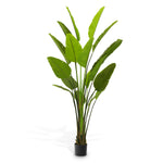 Eichholtz Artificial Plant Strelitzia L — Green Tones hero image (Image 1)