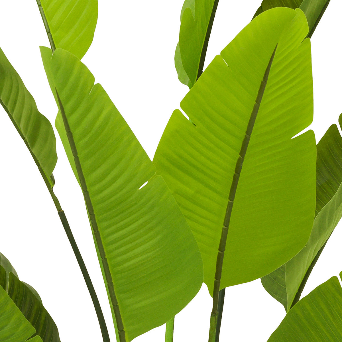 Angled view of Artificial Plant Strelitzia L showing proportions and detailing (Image 3)