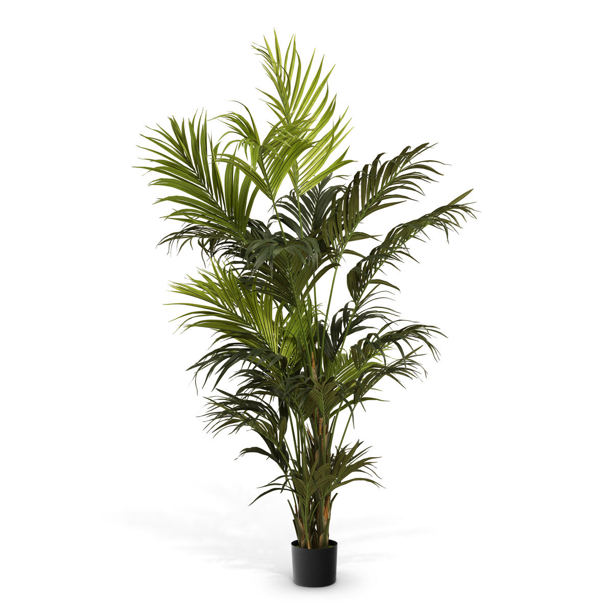 Eichholtz Artificial Plant Kentia Palm — Green Tones hero image (Image 1)