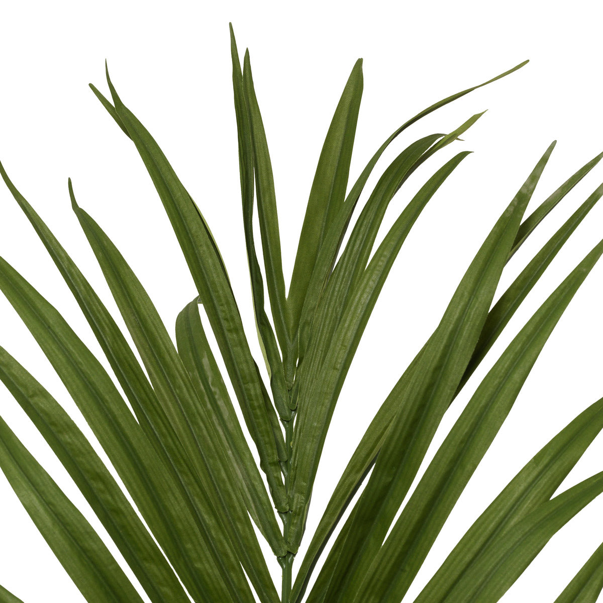 Close-up of Artificial Plant Kentia Palm highlighting premium materials and Green Tones (Image 2)