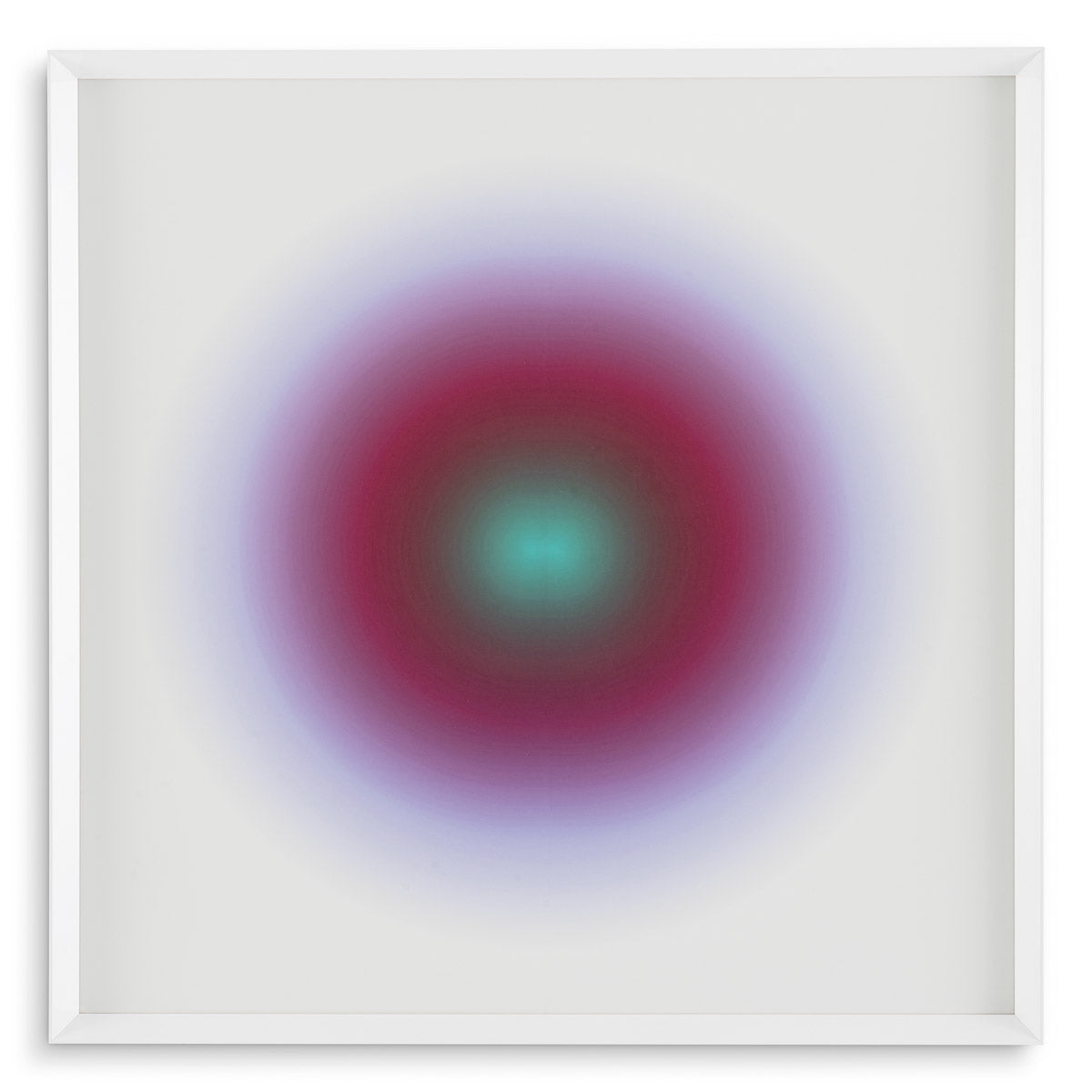 Eichholtz Print Circle from Boissière by Henri Boissière — White Frame, Clear Glass hero image (Image 1)