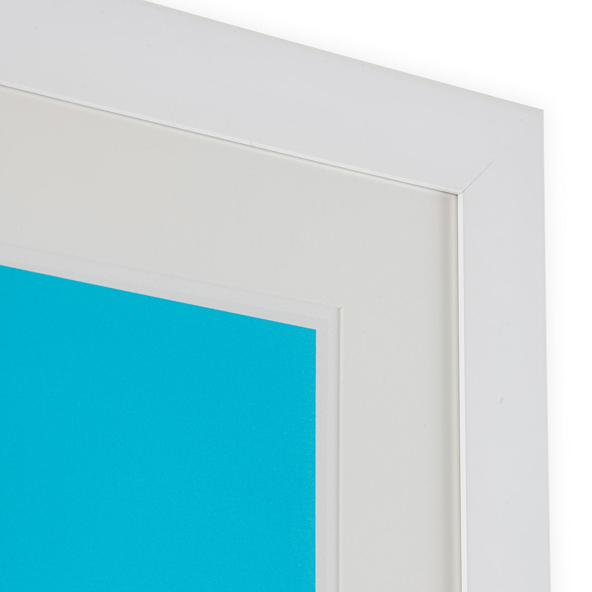 Angled view of Print Silkscreen from Boissière II by Henri Boissi showing proportions and detailing (Image 3)