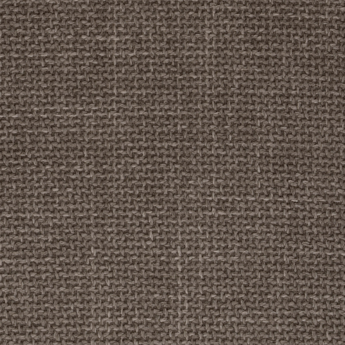 Dining Chair Camerota Scalea grey | black wooden back | black legs Chairs & Sofas A118262 7