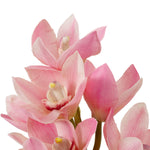 Eichholtz Bouquet of Cymbidium Orchids real touch 36 pcs floral artistry to your home, where elegance and craftsmanship create a lasting...