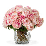 Eichholtz Bouquet of Peonies real touch 48 pcs/2 varieties Add a touch of soft elegance to your home with this exquisite Bouquet of Peonies