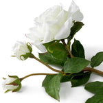 Eichholtz Bouquet of Roses real touch 72 pcs/2 varieties meet. Bouquet of Roses real touch 72 pcs/2 varieties Crafted by Eichholtz this a...