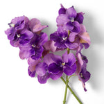 Eichholtz Bouquet of Vanda Orchids real touch 24 pcs orchids, exuding a sense of tropical sophistication. Ideal for creating an atmospher...