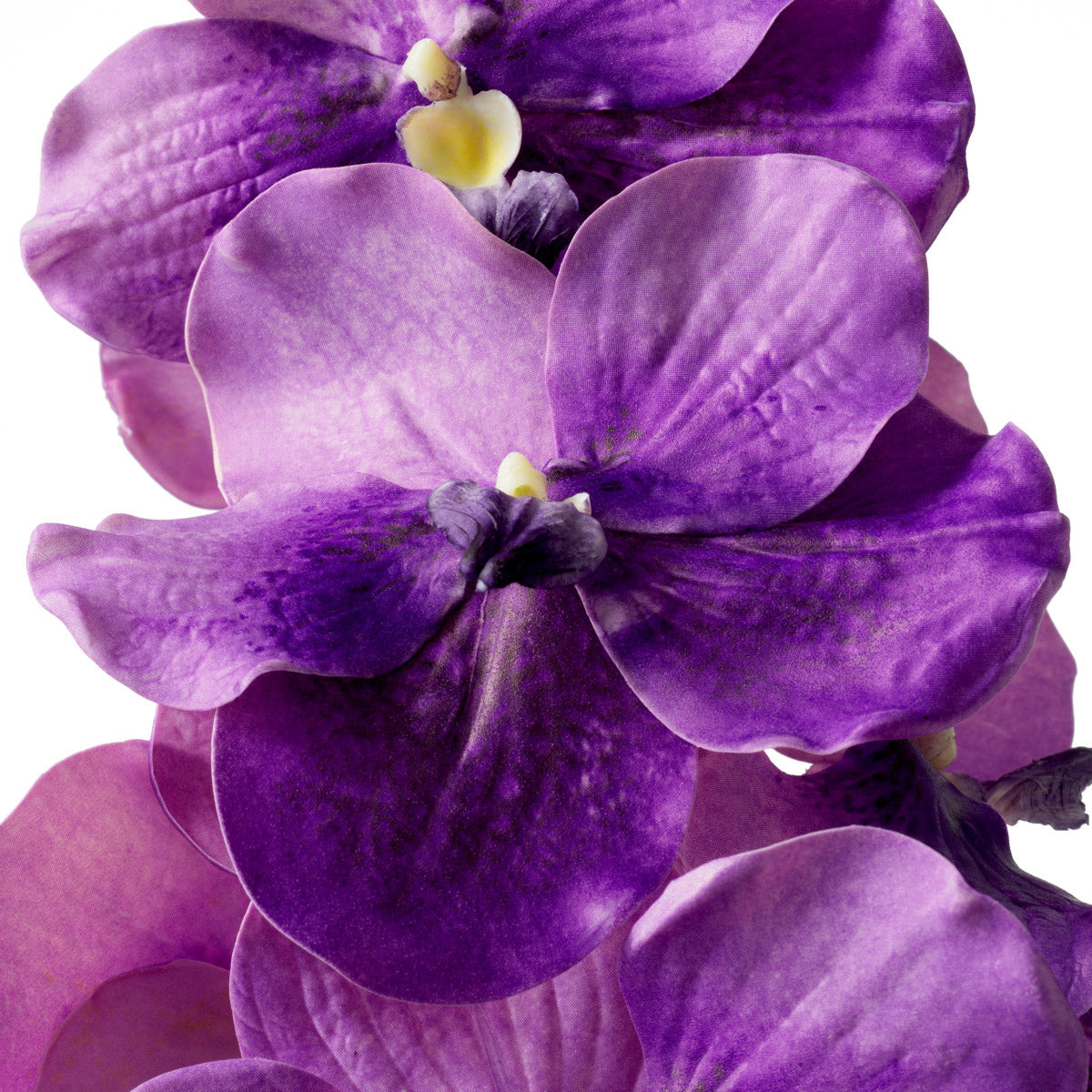 Eichholtz Bouquet of Vanda Orchids real touch 24 pcs it requires no upkeep while offering enduring beauty. With Eichholtz, indulge in the...
