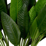 Eichholtz Bundle of Strelitzia leaves 36 pcs real Strelitzia foliage, bringing a sophisticated natural element to any interior. Perfect f...