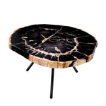 Eichholtz Coffee Table De Soto set of 3 transform into stone. While retaining the original structure of the stem tissue, all the organic